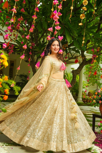 Gildessa Heavy Lehenga Set